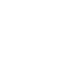 RoadOne Logo